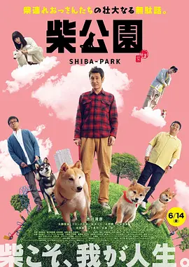 蓝光压制