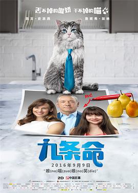 清晰在线播放观看