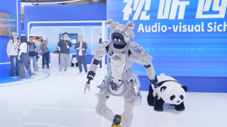 全集免费观看超清